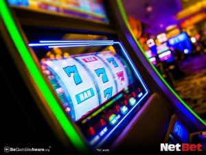ff555|Não perca bingo online com suporte 24h Aproveite Hoje